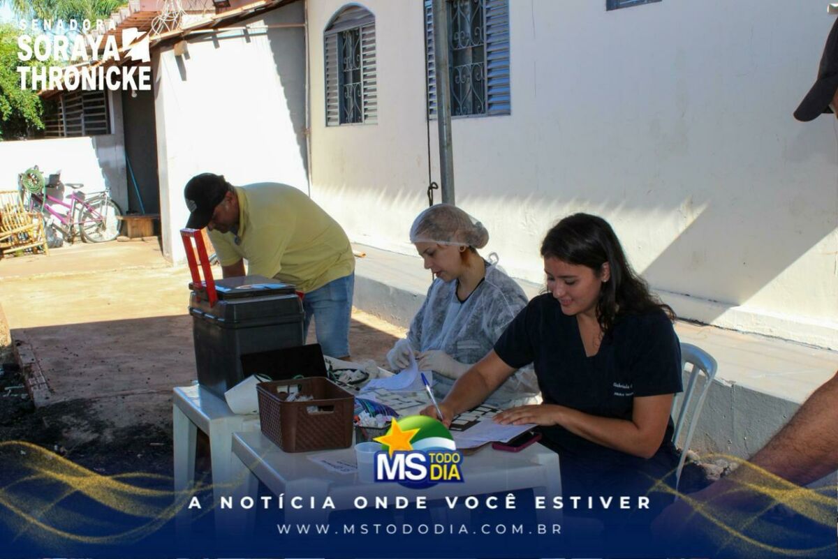 Imagem da Galeria